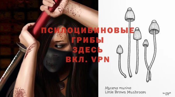 МДМА Алексеевка