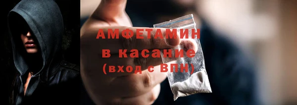 индика Алексин