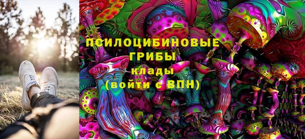 МДМА Алексеевка