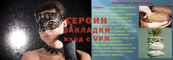 индика Алексин
