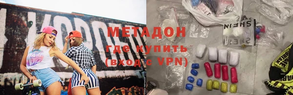 индика Алексин