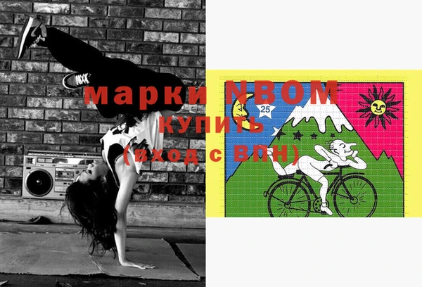 гашик Алзамай